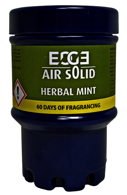 Désodorisant Euro Poducts Q25 Green Air Herbal Mint 417361 6 pièces