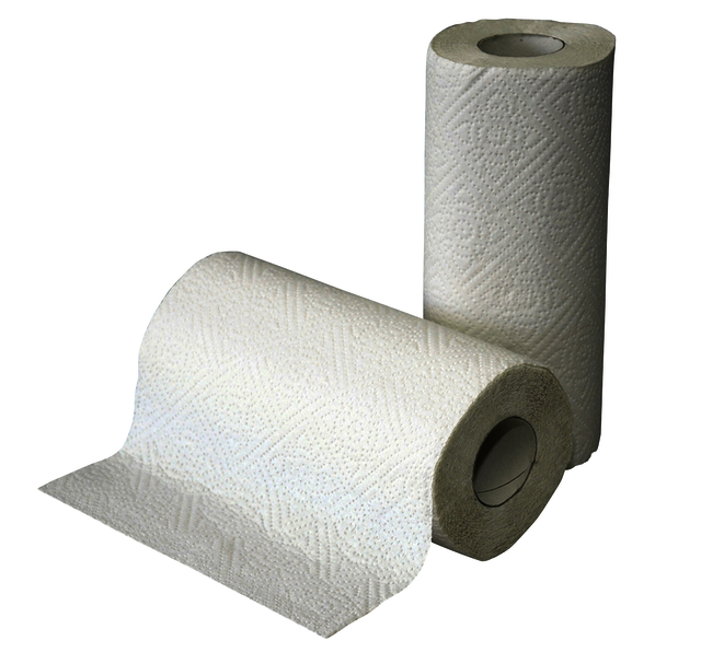 Rouleau essuie-tout Cleaninq 2 épaisseurs 50 feuilles 16x 2 rouleaux blanc