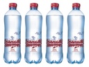 Eau Chaudfontaine pétillante bouteille PET 500ml