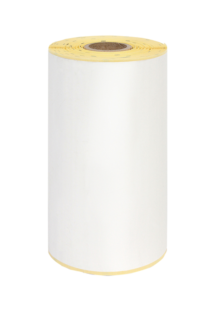 Etiquette Zebra IEZZY 3005281-T 102x150mm 19mm blanc permanent 110 pièces