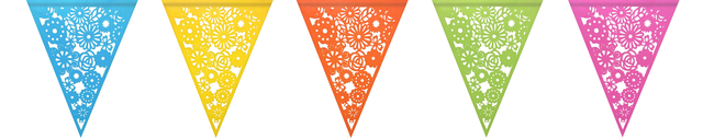 Guirlande drapeaux colorful 6m
