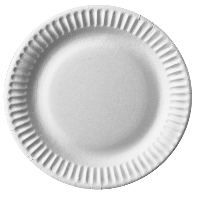 Assiette IEZZY 150mm carton blanc 100 pièces