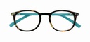 Lunettes de lecture I Need You +1.50 dpt Junior Selection brun-turquoise