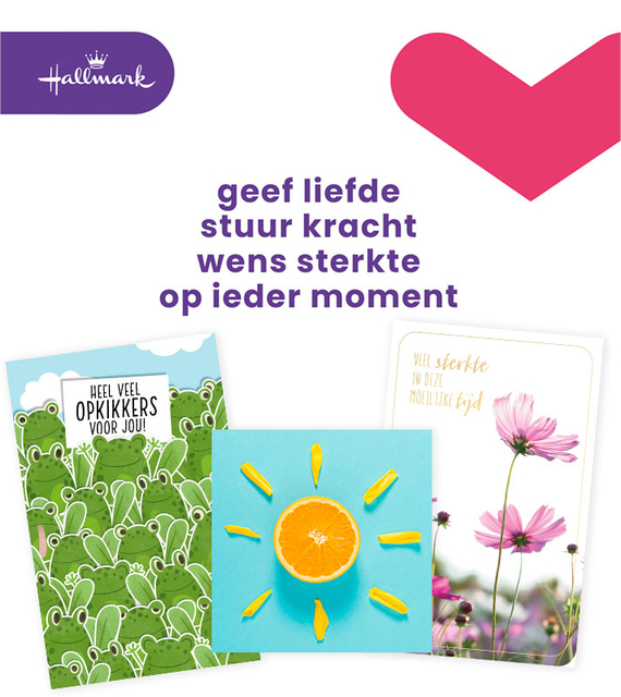 Carte de voeux Hallmark recharge ''Beterschap/Sterkte'' 12 cartes