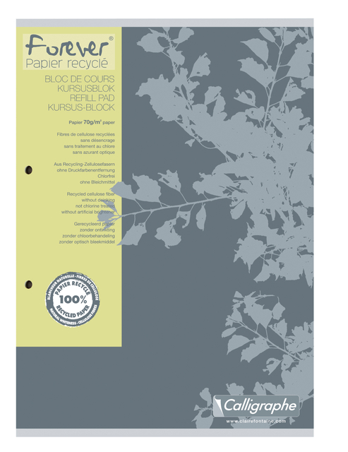 Cursusblok Clairefontaine Forever Calligraphe A4 ruit 5x5mm 2-gaats 200 pagina's 70gr grijs