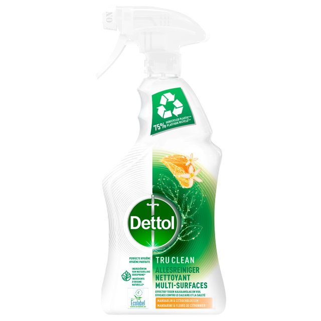 Allesreiniger Dettol TC Mandarin & Lemon spray 500ml