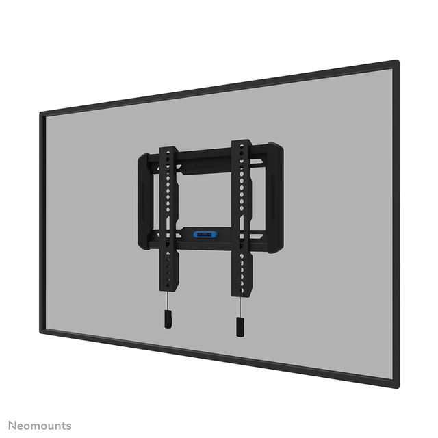 TV wandsteun Neomounts 24-55 inch