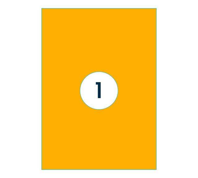 Etiket Rillprint 210x297mm fluor oranje 100 stuks