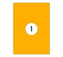 Etiket Rillprint 210x297mm fluor oranje 100 stuks