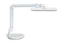 Lampe de travail MAULintro LED dimmable sur socle blanc