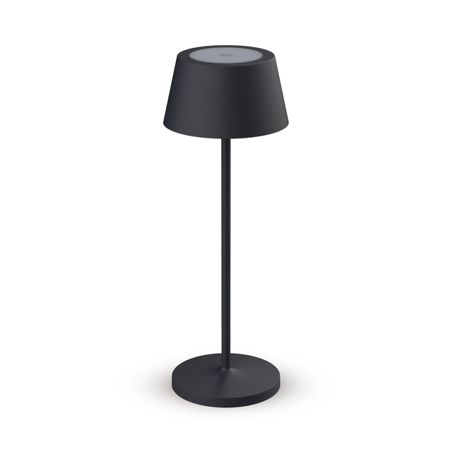 Lampe de table MAULnina LED batterie rechargeable dimmable anhtracite