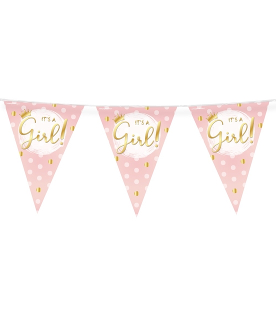 Drapeaux Pary Foil It's a girl!