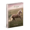 Agenda scolaire 2025-2026 Lannoo Horses 1 jour/1 page rose