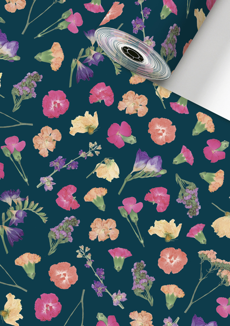 Rouleau pour appareil Stewo Mailo 150mx30cm