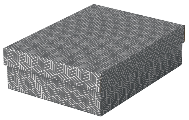 Opberg- en geschenkdoos Esselte home middelgroot 265x100x360mm grijs 3 stuks