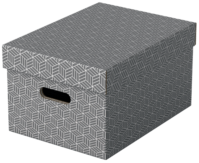 Opbergdoos Esselte home middelgroot 265x205x365mm grijs 3 stuks