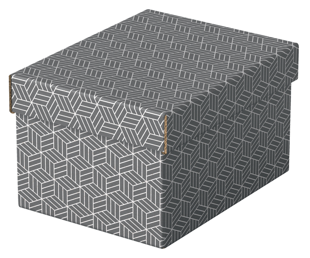 Opberg- en geschenkdoos Esselte home klein 200x150x255mm gr 3 st