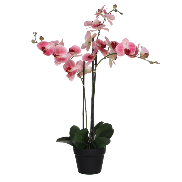 Plante artifielle Mica Orchidée Phalaenopsis rose Pot plastique 79x51cm