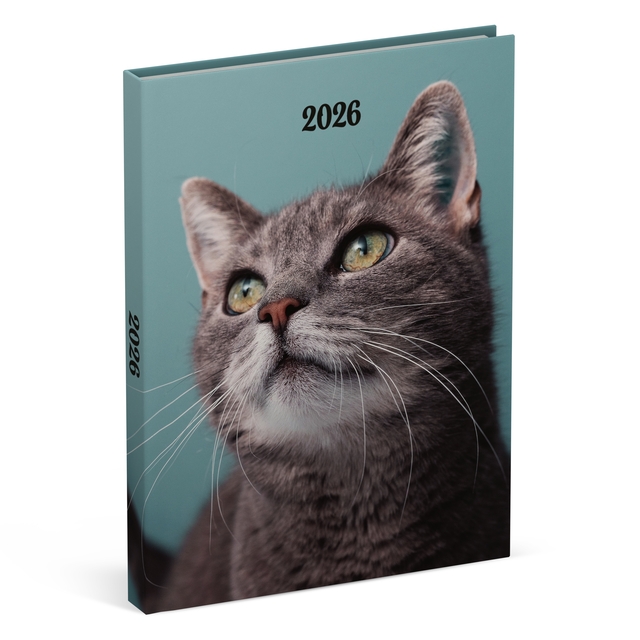 Agenda 2026 Lannoo 110x150 My favourite friends 7 jours/2 pages cats