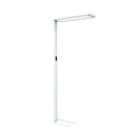 Vloerlamp MAUL Senja LED beweging- daglichtsensor dimbaar wit