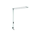 Werkpleklamp tafelklem MAUL Senja LED beweging- daglichtsensor dimbaar wit