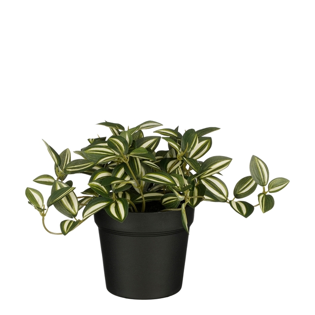 Plante artificielle Mica Tradescantia pot vert 16x16cm