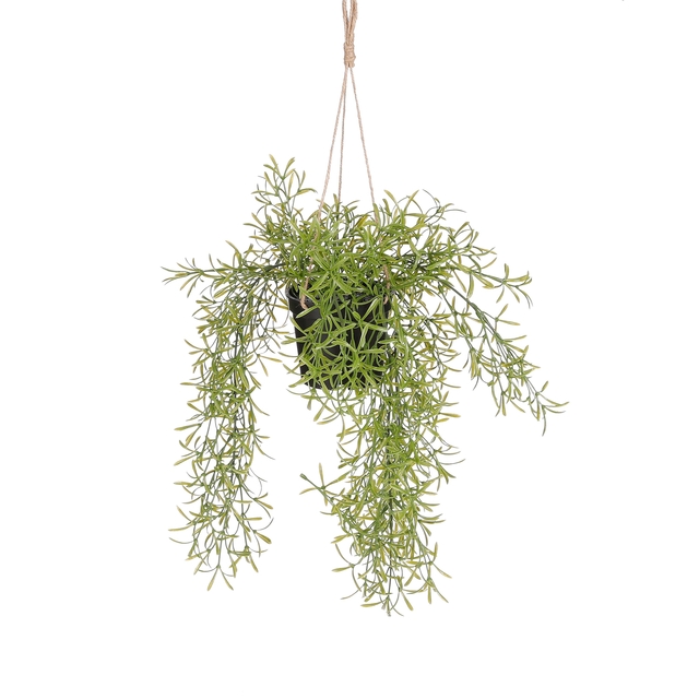 Plante artificielle Mica Rhipsalis suspendue pot vert Ø9,5cm 40x20cm