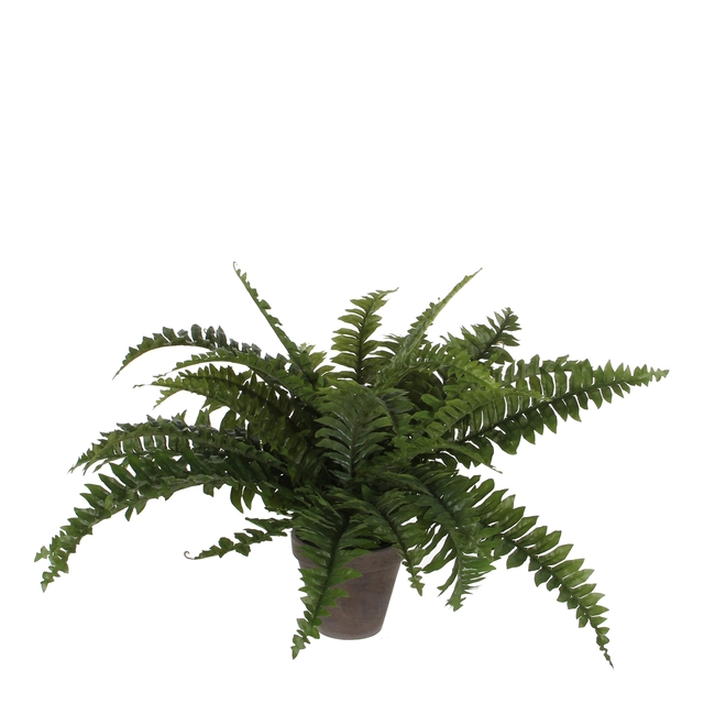 Plante artificielle Mica Boston fougère verte en pot D13,5cm Ø50cm 42cm