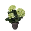 Plante artificielle Mica Hortensia vert Ø35 40cm