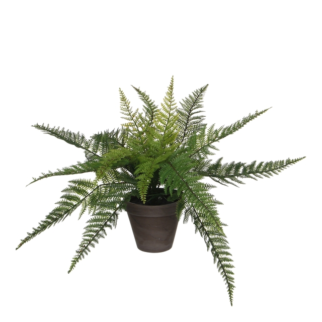 Plante artificielle Mica Fougère verte pot Stan gris d13,5cm Ø50cm 38cm