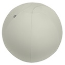 Actieve zitbal Leitz Ergo 75cm anti-rol lichtgrijs