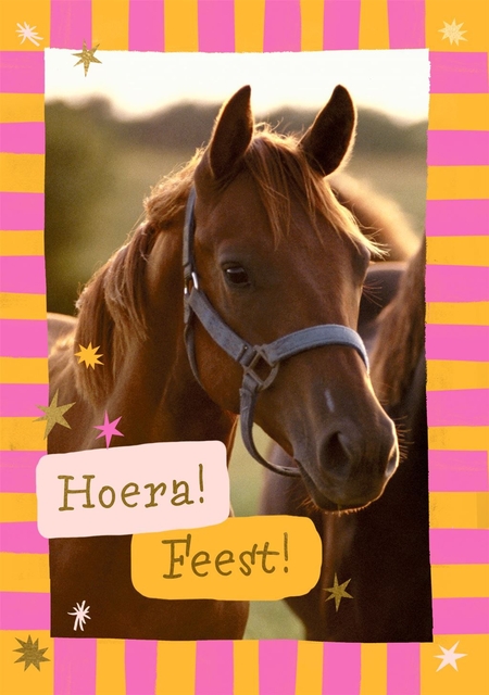 Carte d'invitation Hallmark chevaux lot 6 pièces