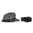 Souris HP 785M sans fil