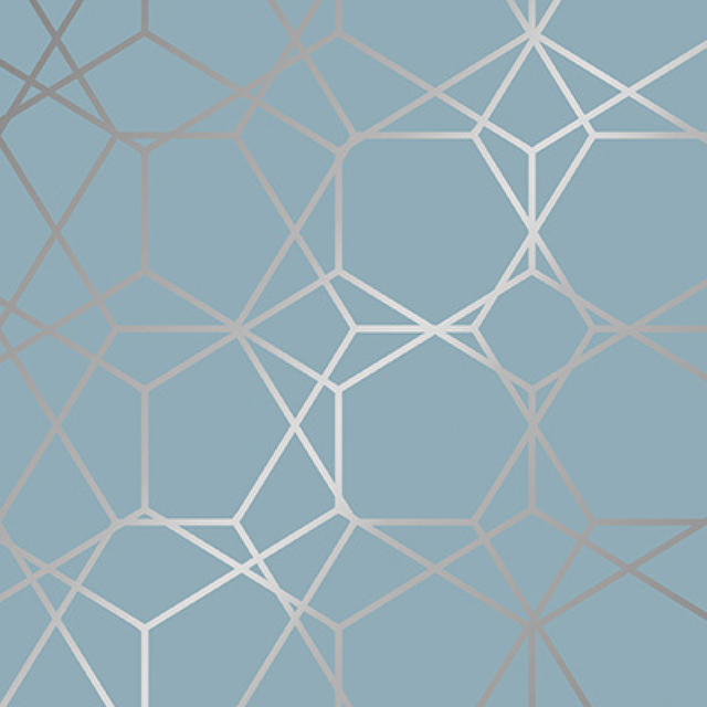 Apparaatrol Diamond Greyblue 50cmx200m