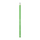 Crayon de couleur Bruynzeel Super 960 vert clair