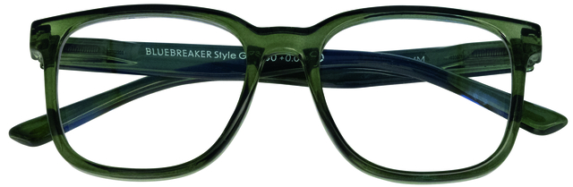 Lunettes pour ordinateur I Need You +3,00 dpt Bluebreaker vert