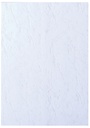 Voorblad GBC A4 lederlook wit 100 stuks