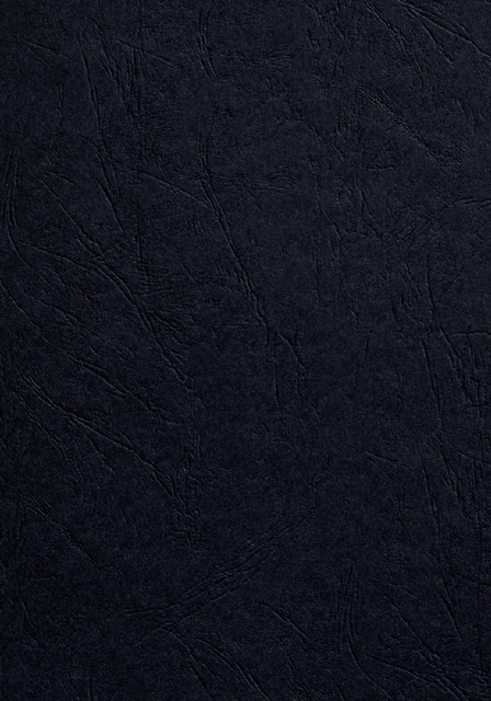 Couverture GBC A4 similicuir noir 100 pièces
