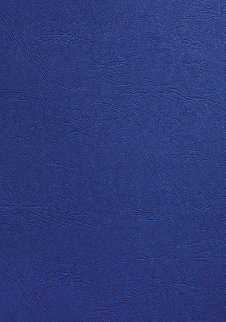 Couverture GBC A4 similicuir bleu roi 100 pièces