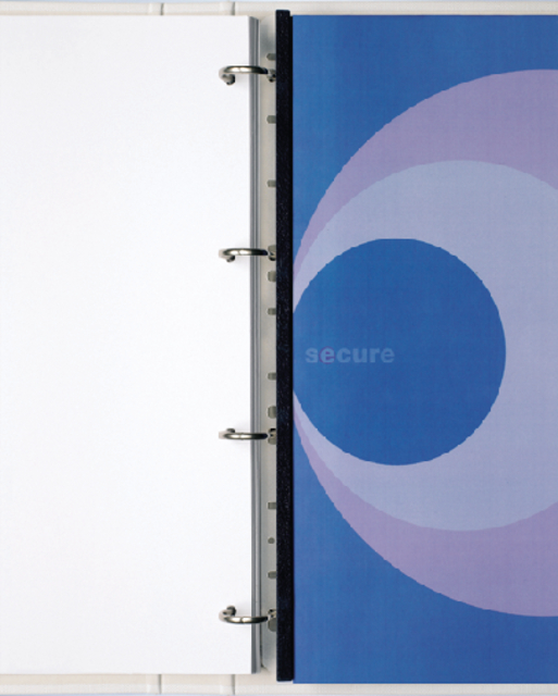 Bandes GBC Filestrip A4 10 broches 100 pièces