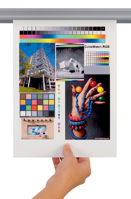 Rail mural Djois Jalema Grip 340mm avec fixation magnétique gris