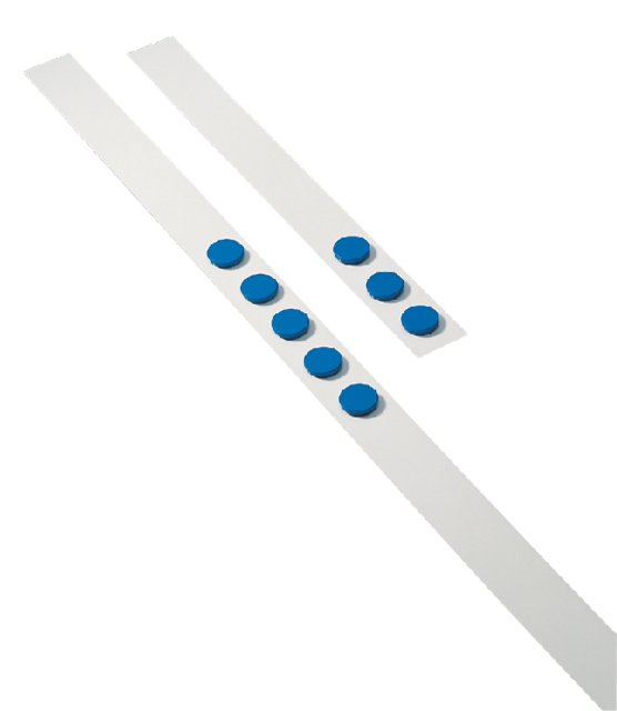 Wandlijst Desq 100cm met 5 blauwe magneten van 32mm