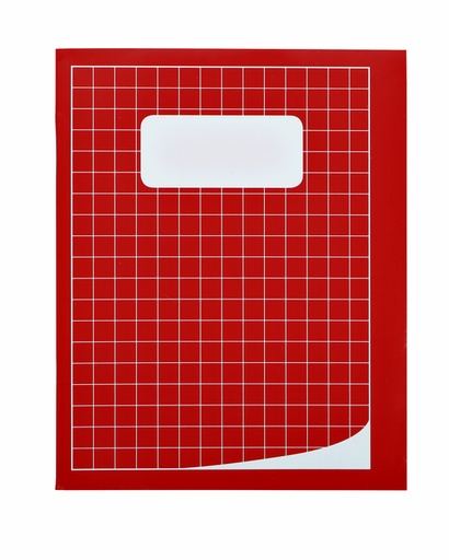 [011311] Cahier Qbasic 210x165mm carreau 10mm 80 pages 70g assorti