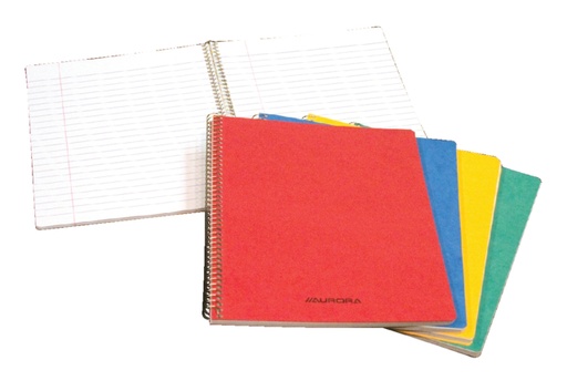 [011328] Schrift Aurora 210x165mm lijn 120 pagina's 80gr assorti
