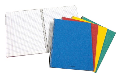 [011327] Schrift Aurora 210x165mm ruit 5x5mm 120 pagina's 80gr assorti