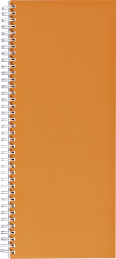 [022110] Livre d''inventaire 135x330mm ligné 160 pages 70g spirale orange