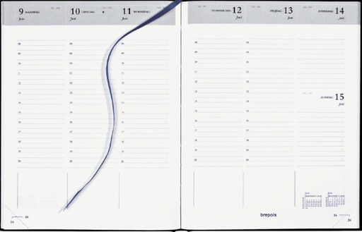 [900034] Agenda 2025 Brepols Timing Lima 7dagen/2pagina's zwart