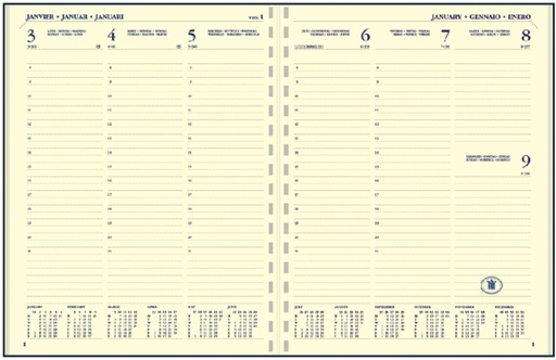 [900107] Agenda 2025 Ryam Executive Nappa 7dagen/2pagina''s ringplastic zwart