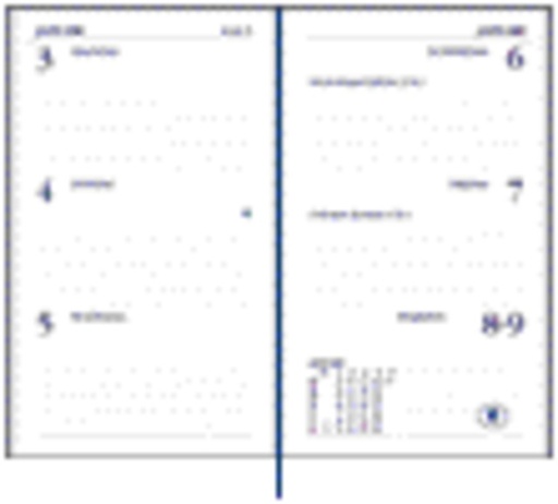 [900122] Agenda 2025 Ryam Memoplan 7 Plus Mundior 7dagen/2pagina's assorti