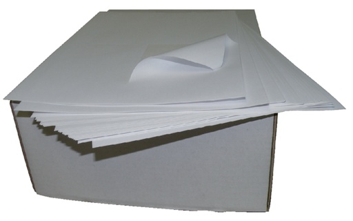 [413102] Etiket IEZZY PostNL 105x148.5mm  2000stuks